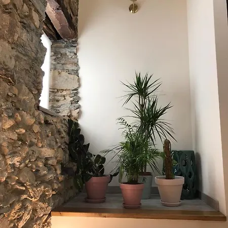 Rural * Vilarinho (Braganca)