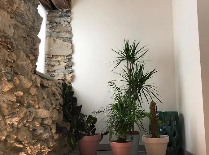 Rural * Vilarinho (Braganca)